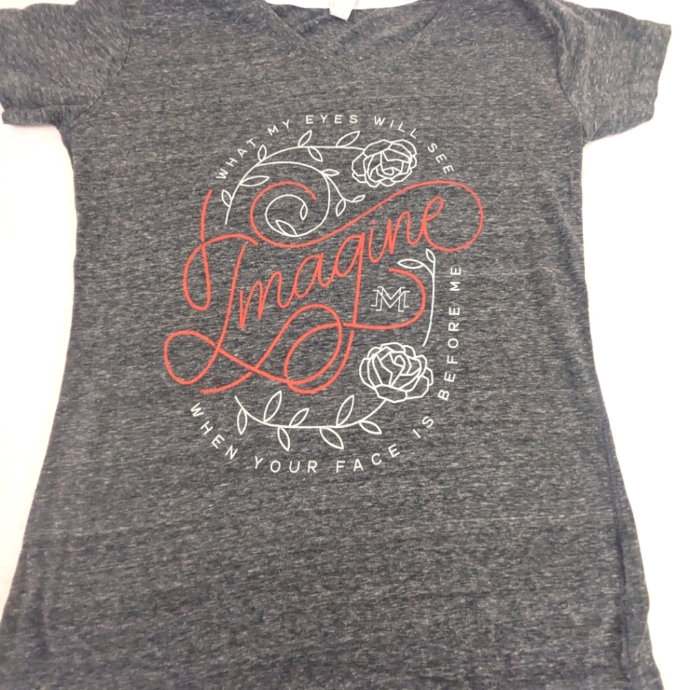 Mercy Me Concert Tee I can only imagine Grey Tee Size Medium